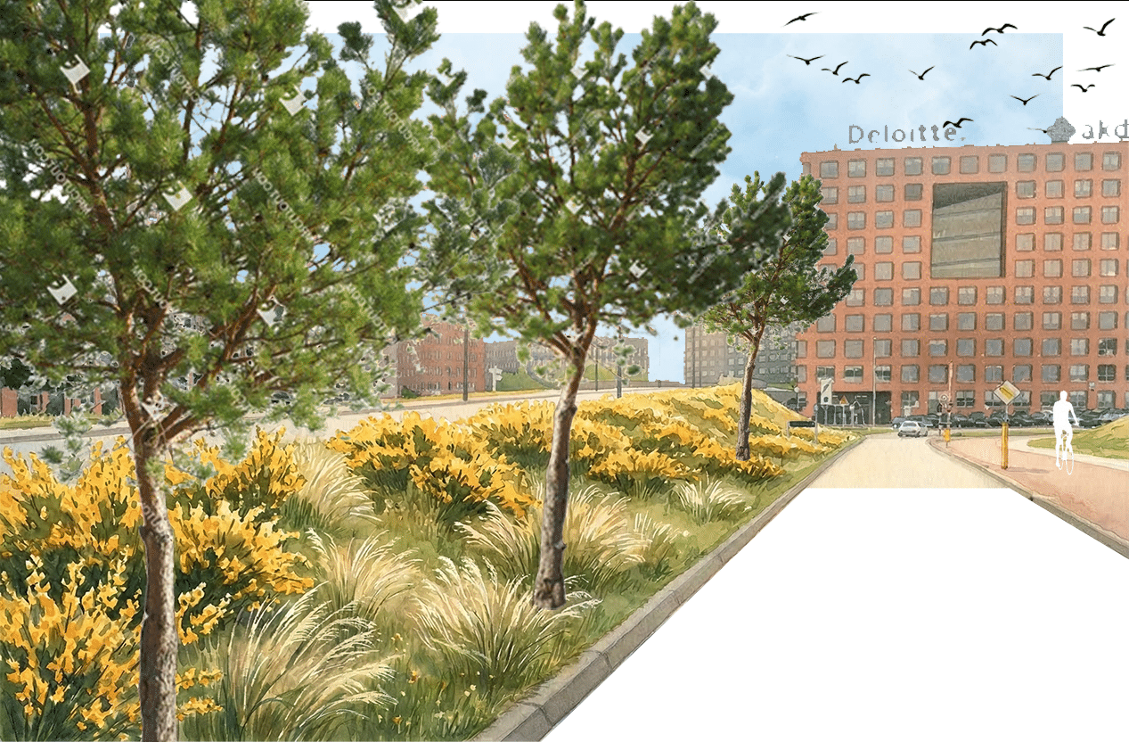 Sfeerbeeld talud LHW